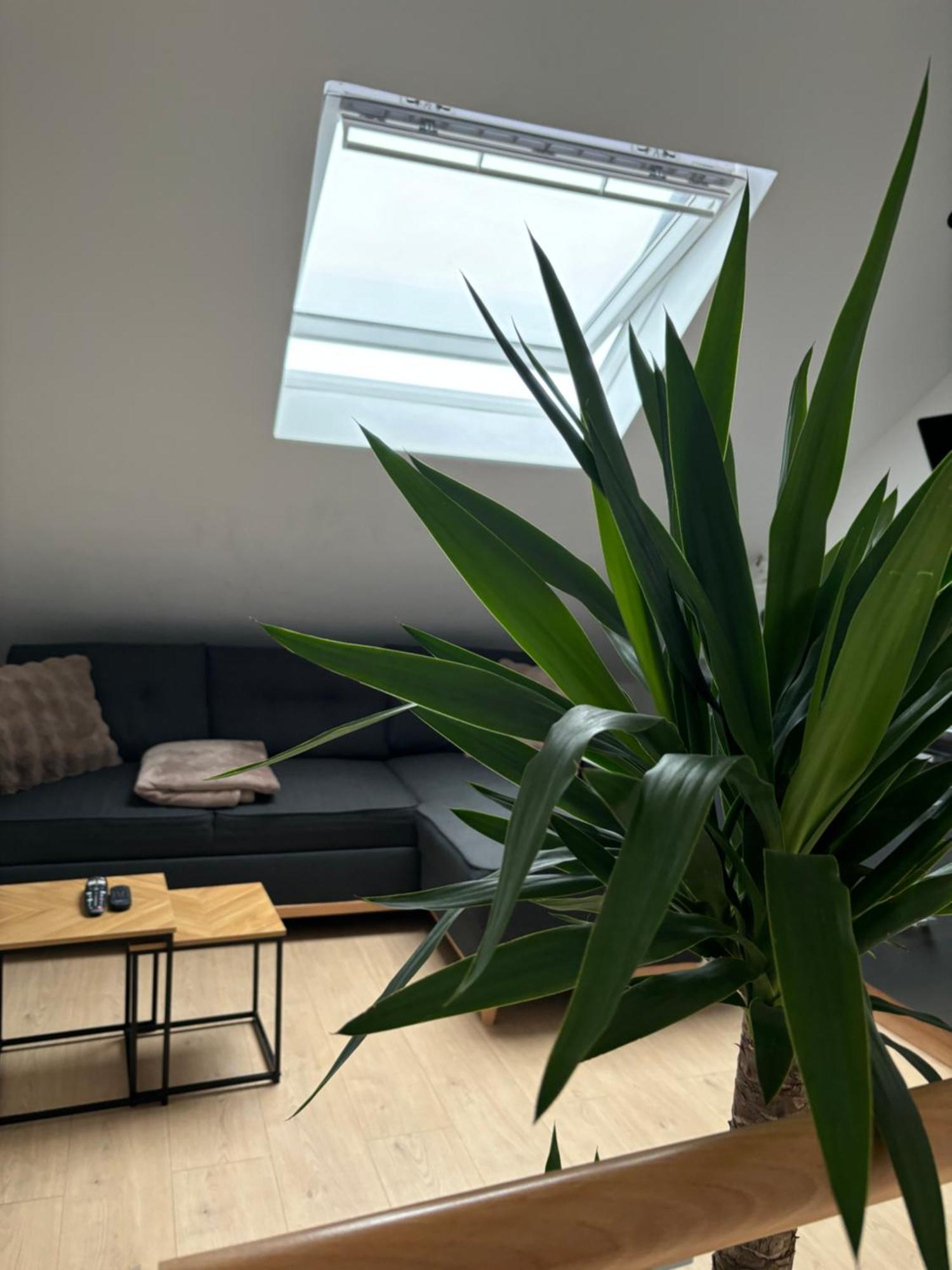 Ubuntu House - Charleroi 아파트 외부 사진